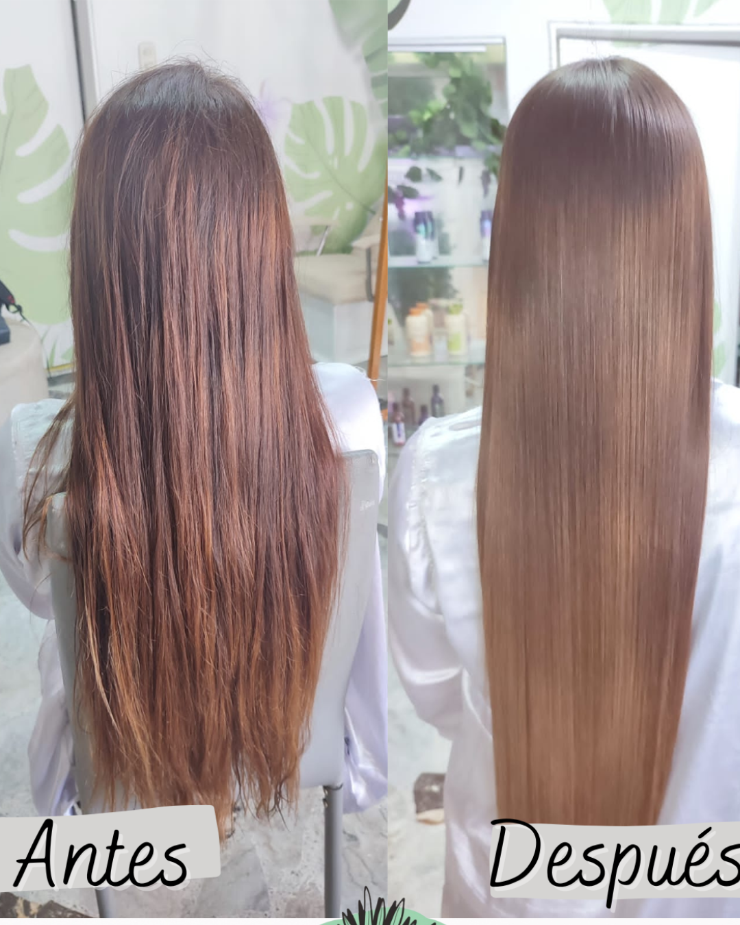 Keratina Orgánica X 120ml (Alcanza para un Alisado)