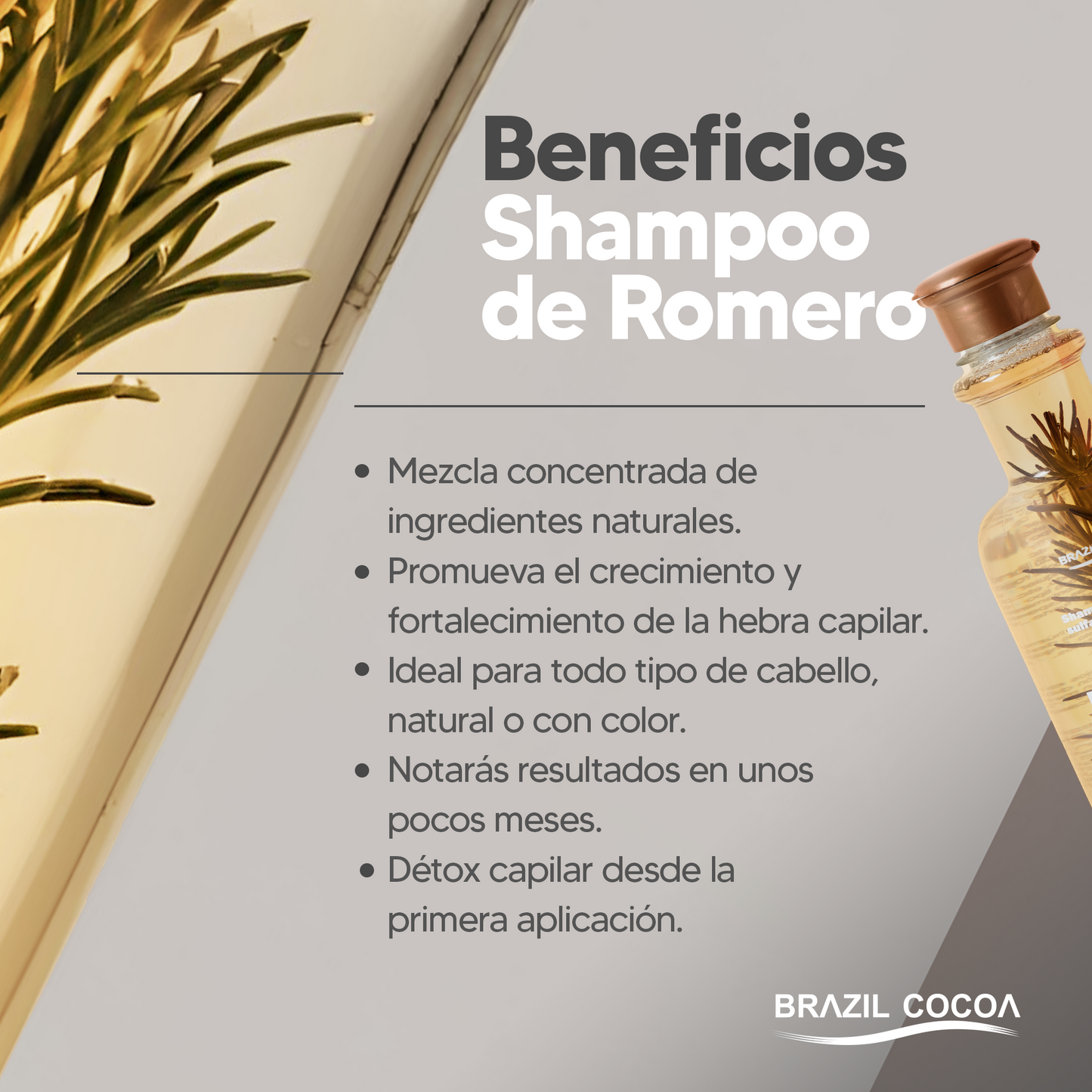 Shampoo de Romero X 500ml + Tratamiento Cebolla X 90ml (Precio Especial)