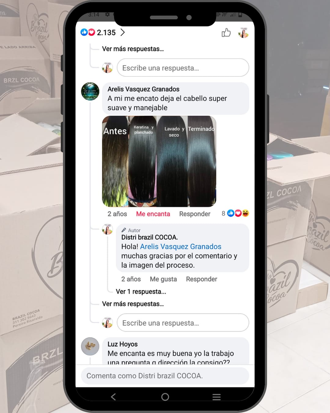 Kit Keratina Orgánica X 250ml (Alcanza de 2 a 4 Alisados)